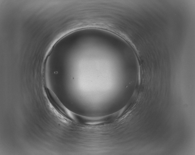 X0000052651532200507011359