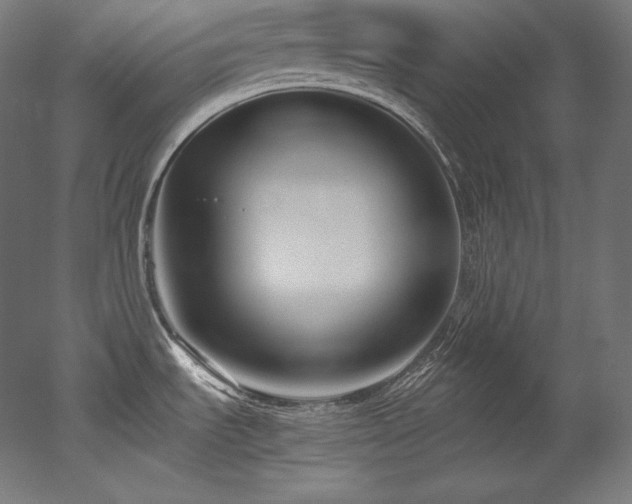 X0000052651535200507011359