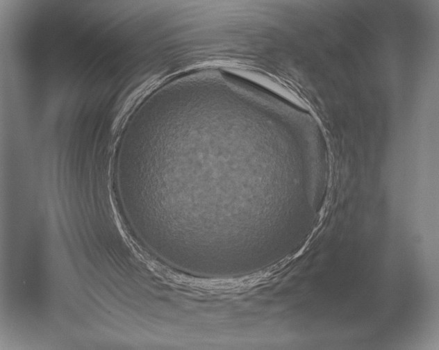 X0000052650001200507082044