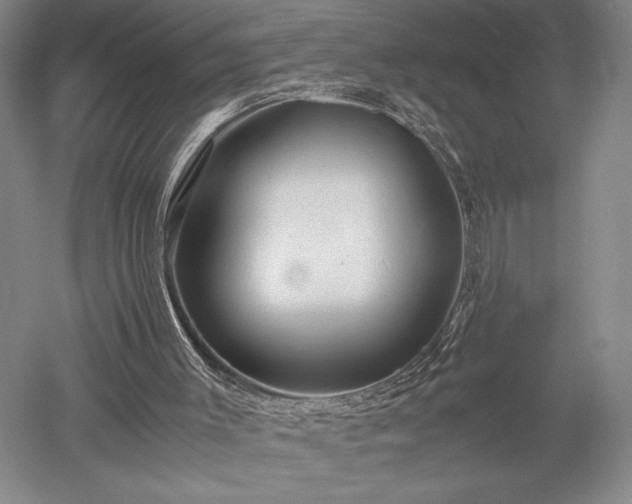 X0000052650003200507082044