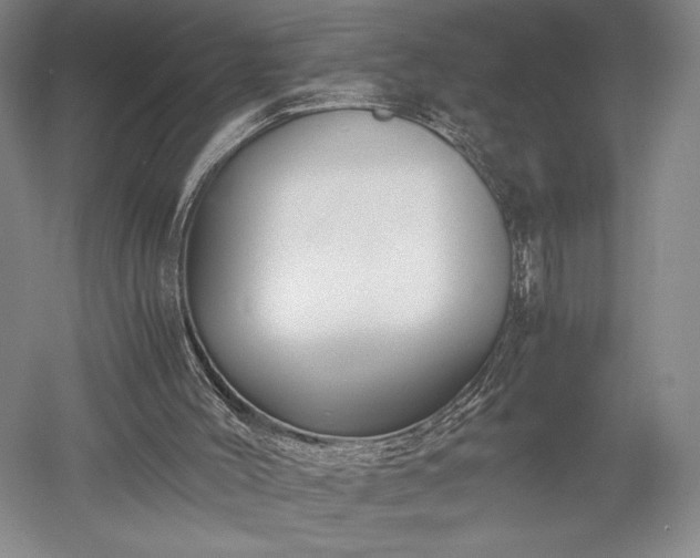 X0000052650004200507082044