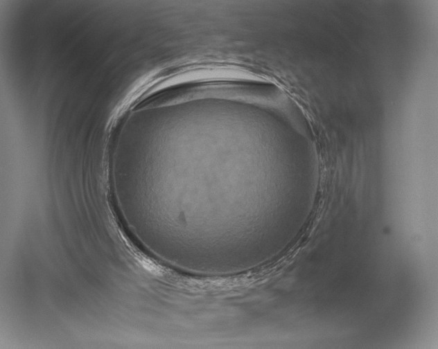 X0000052650005200507082044