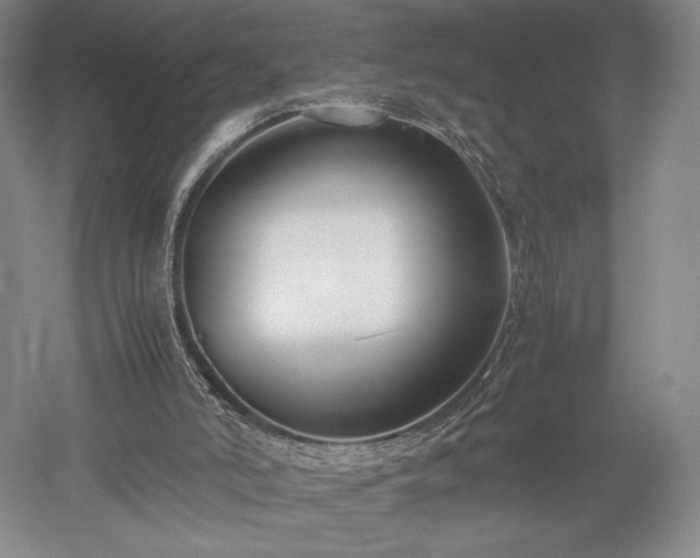 X0000052650006200507082044