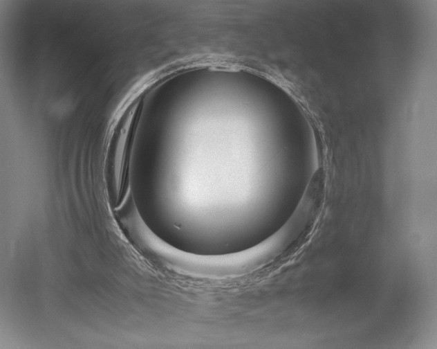 X0000052650007200507082044