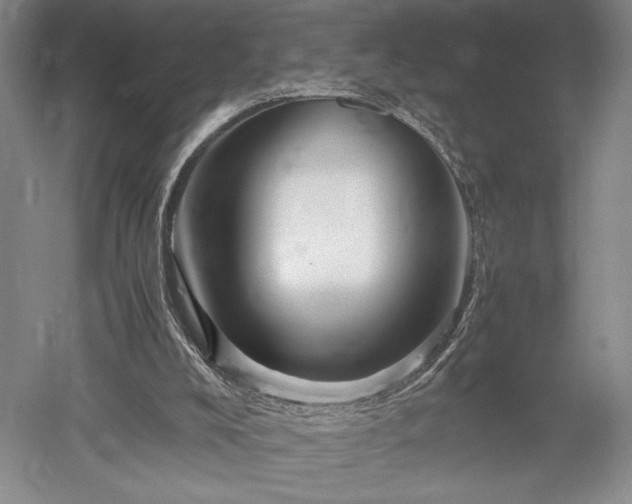 X0000052650008200507082044