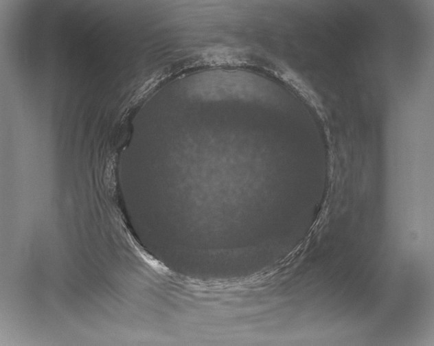 X0000052650009200507082044