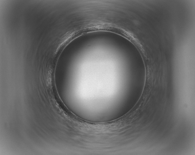 X0000052650010200507082044