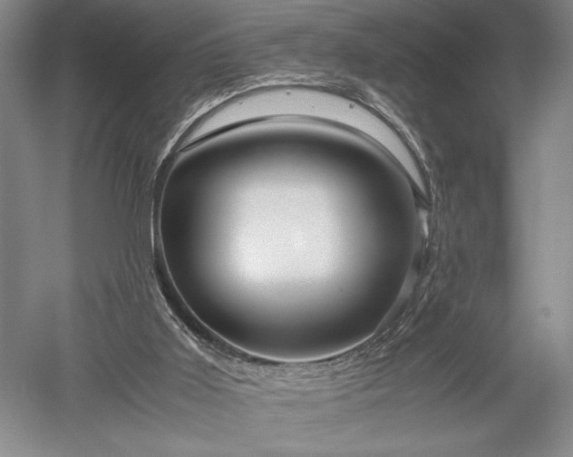 X0000052650011200507082044