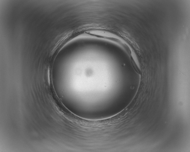 X0000052650014200507082044