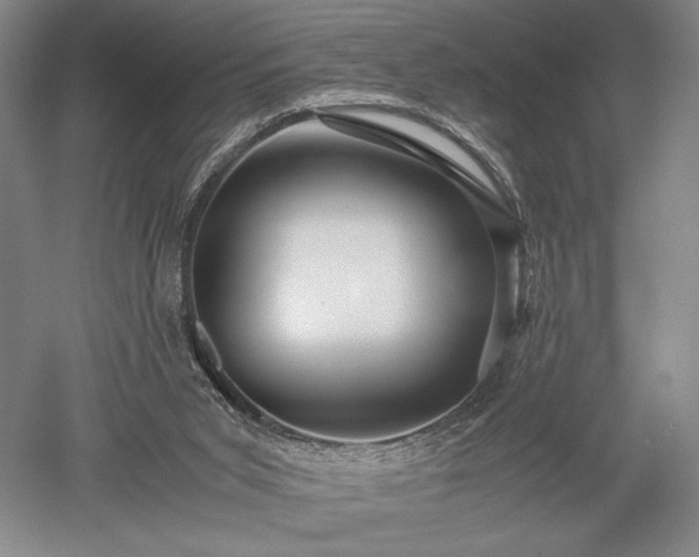 X0000052650015200507082044