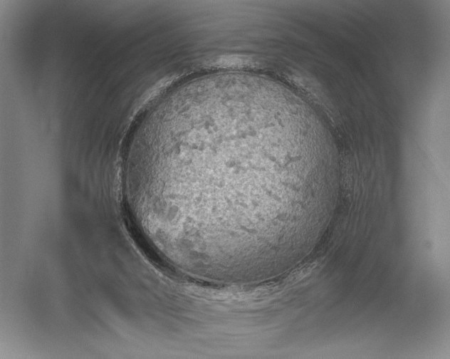 X0000052650016200507082044