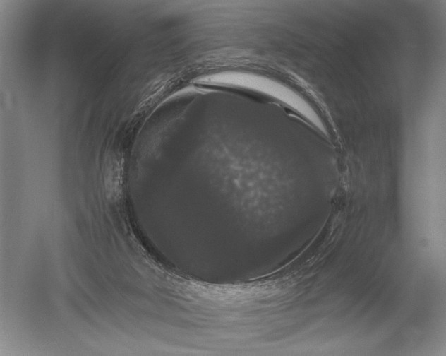 X0000052650018200507082044