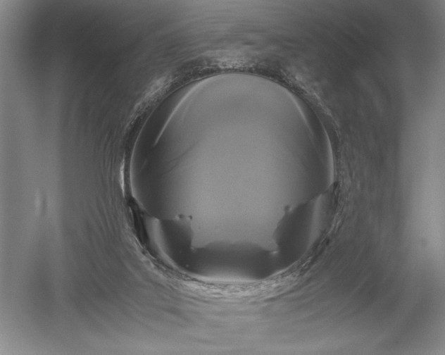 X0000052650019200507082044
