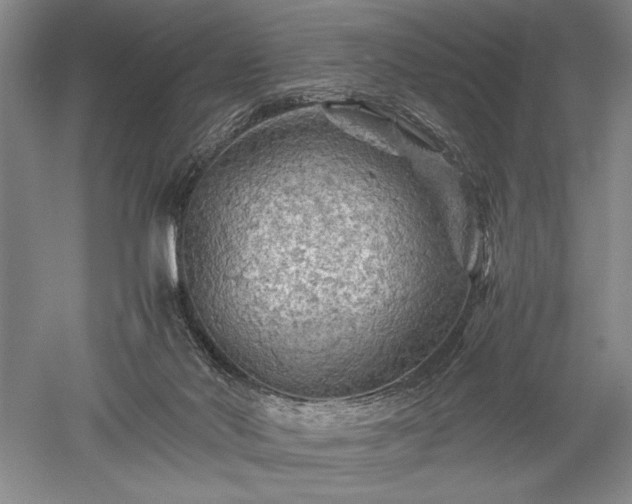 X0000052650022200507082043