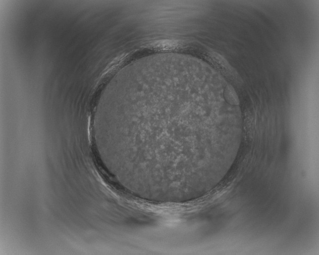X0000052650024200507082043