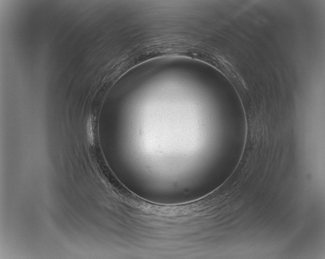 X0000052650026200507082043