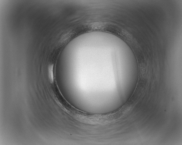 X0000052650028200507082043