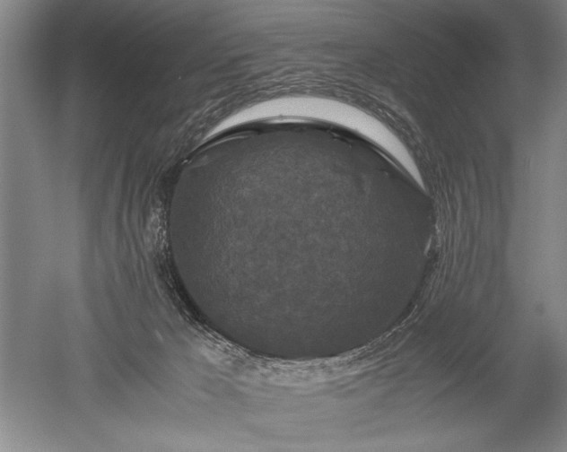 X0000052650029200507082043