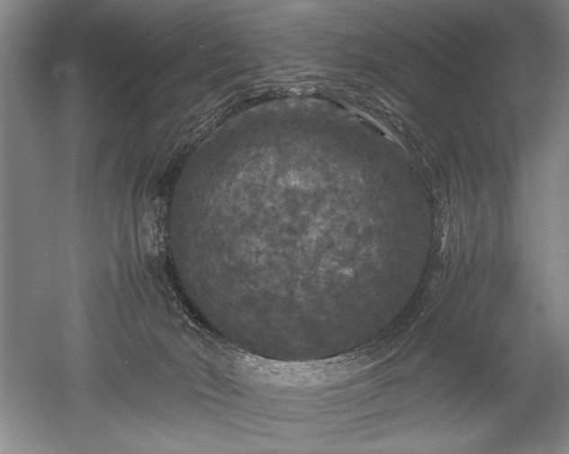 X0000052650030200507082043