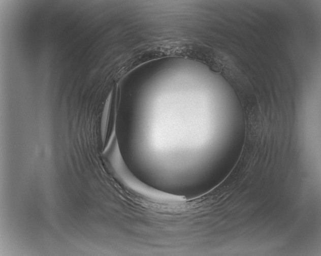 X0000052650034200507082043