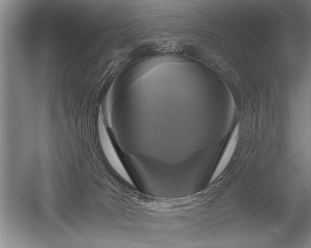 X0000052650035200507082043