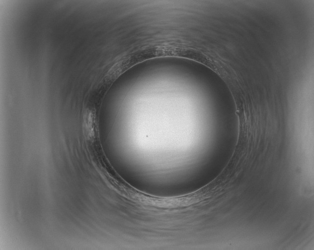 X0000052650038200507082043