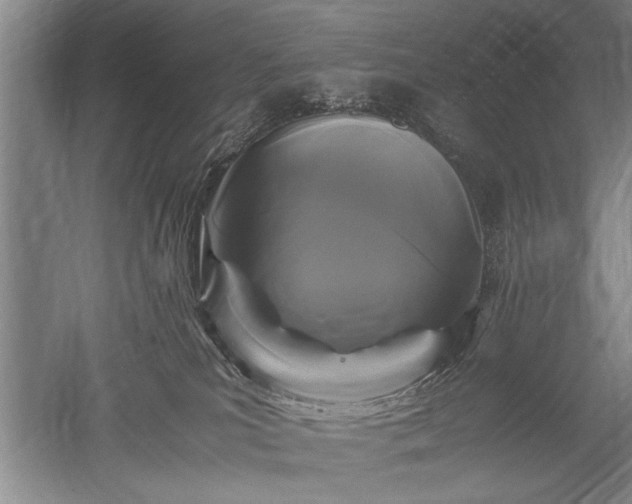 X0000052650039200507082043