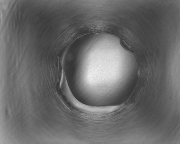 X0000052650040200507082043