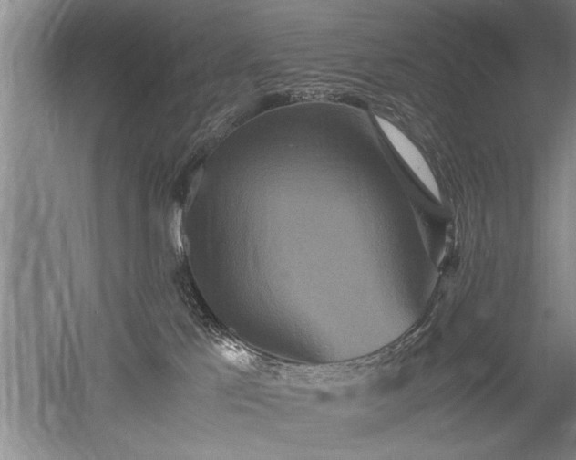 X0000052650041200507082043