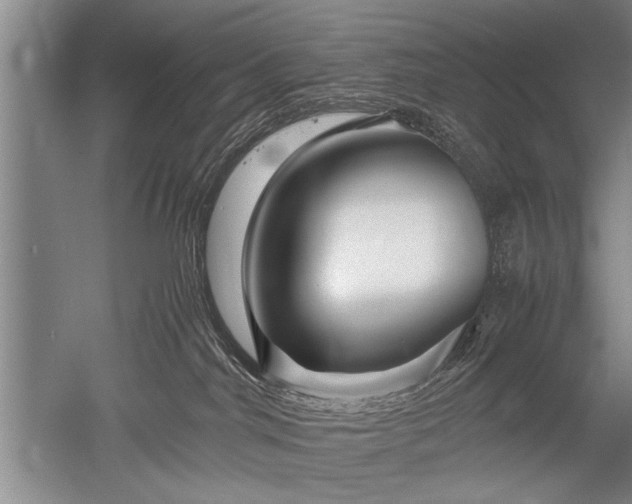 X0000052650044200507082043