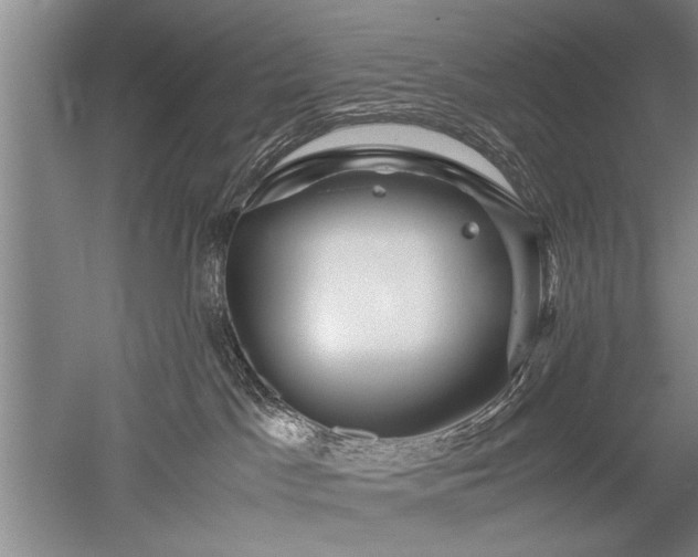 X0000052650045200507082043