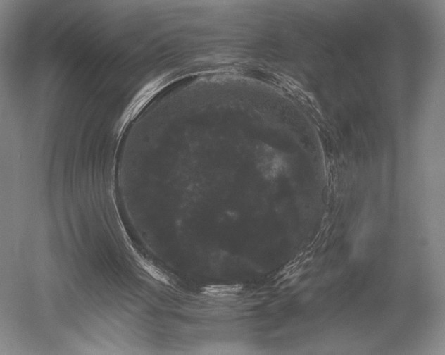 X0000052650051200507082042