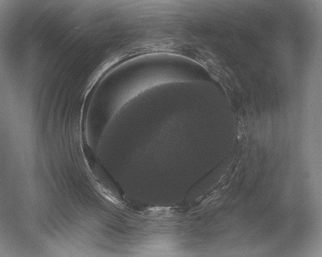 X0000052650052200507082042