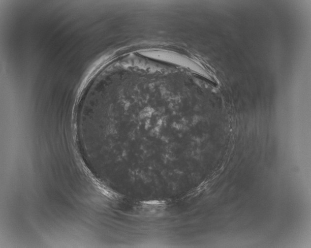 X0000052650053200507082042