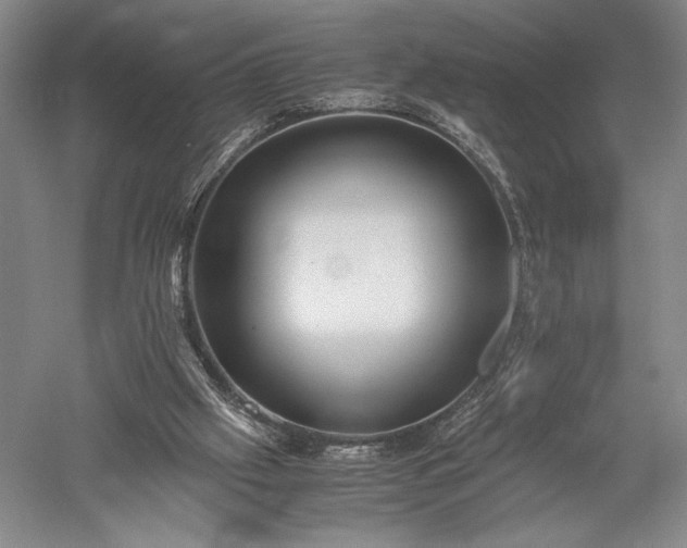 X0000052650057200507082042