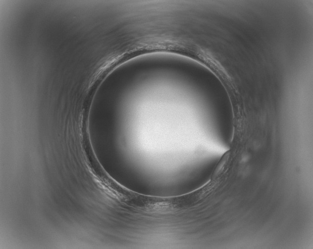 X0000052650058200507082042