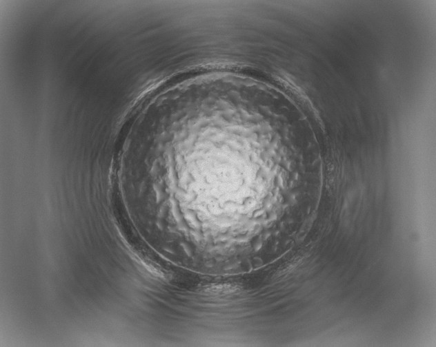 X0000052650063200507082042