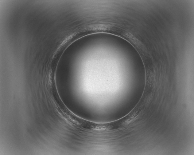 X0000052650064200507082042