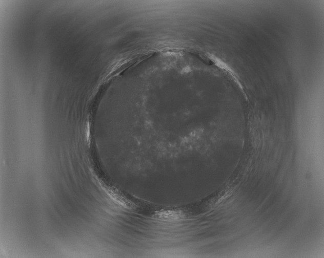 X0000052650067200507082043