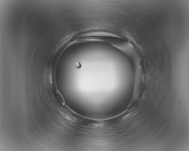 X0000052650068200507082043