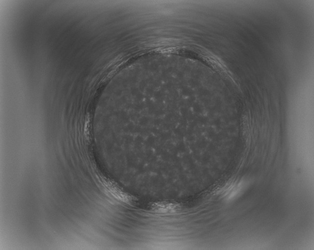 X0000052650073200507082043