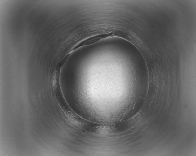 X0000052650074200507082043