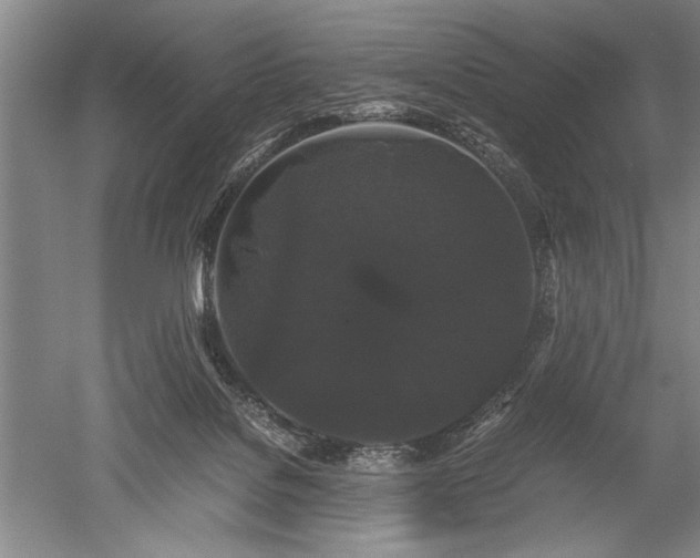 X0000052650076200507082043
