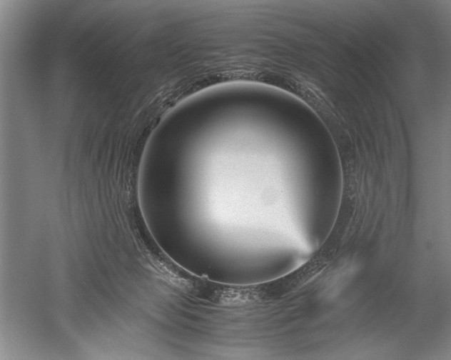 X0000052650077200507082043