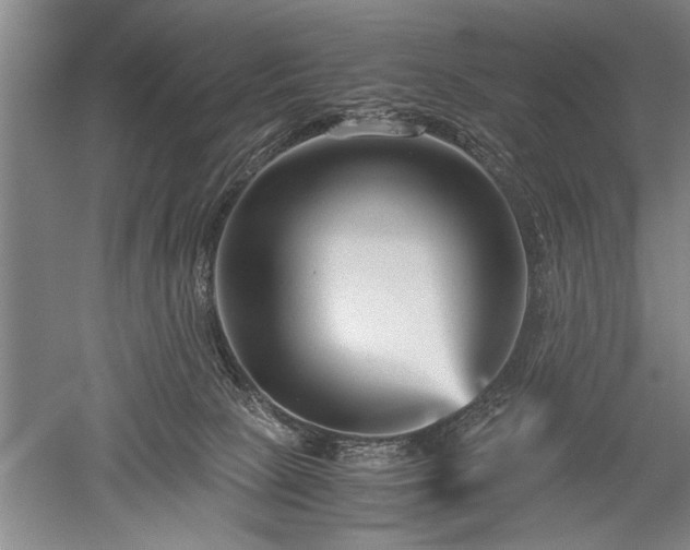 X0000052650081200507082043