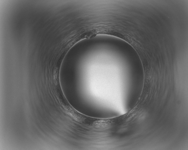 X0000052650082200507082043