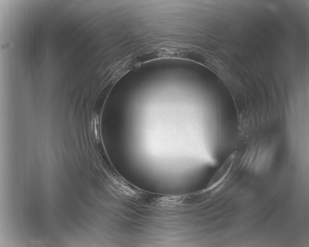 X0000052650094200507082043