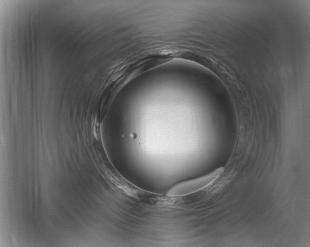 X0000052650096200507082043