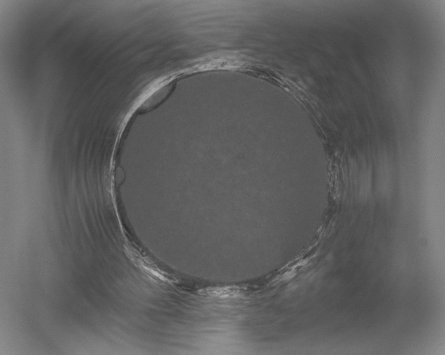X0000052650100200507082042