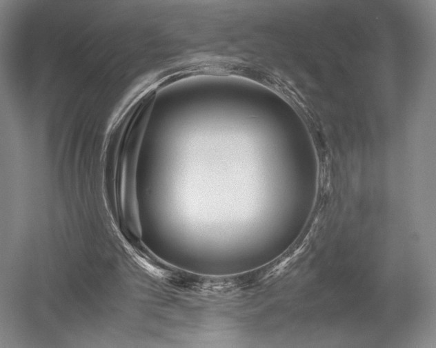 X0000052650101200507082042
